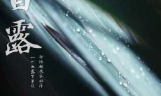 白露节气八大习俗特点介绍!24节气白露习俗详解