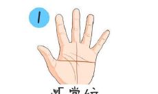 女人右手断掌好不好?