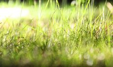 苏氏面相学解读(下篇)