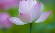 相学天机之破五关详细解读