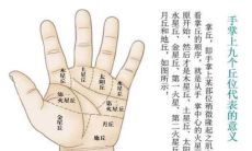 看手相算命图解大全