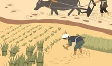 女金命的性格命运 财运好不好