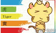 属虎如何解决寂寞的来袭
