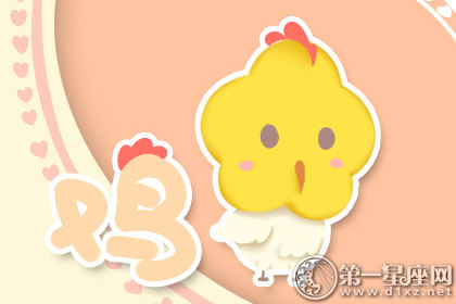 鸡错误2的原因