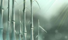 属兔最看重姐妹情谊