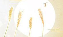 属羊过年相亲是一种什么样的体验