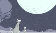 难以驯服的野马！男人管不住的女人面相