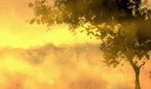 木命与土命的关系 五行生克