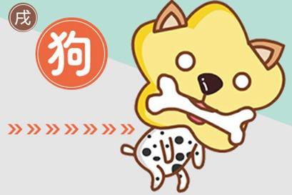 82日狗男子命运的原因是什么？