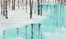 民间花朝节的女主角：花神是谁？