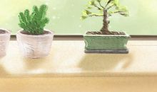 美艳百花不可挡！关于花朝节的图片