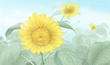 花朝节是百花诞辰还是花神下凡