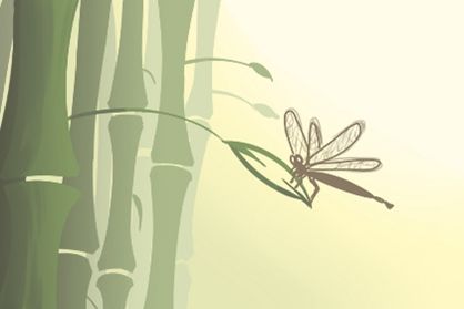 如何为五行局进行补救措施