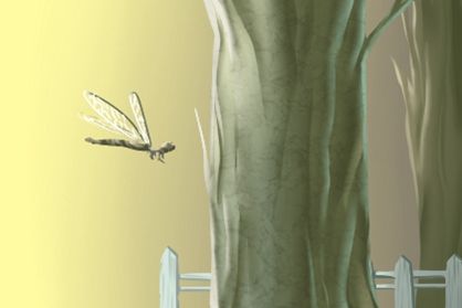 我如何知道我的生命缺失了？