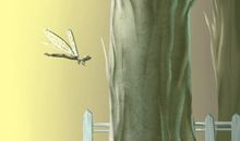 怎样知道木命人五行缺什么