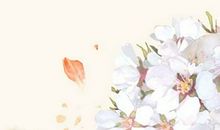 怎样知道两人是宿世姻缘 前世姻缘痣