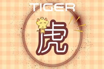 2021年，老虎适合进行业务和行业