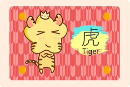 2021谁是老虎的业务伙伴？