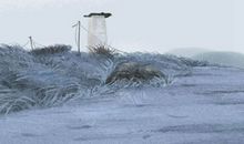 关于吃货节的由来