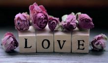 对爱情你是宁缺毋滥的人吗