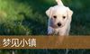 梦见小镇
