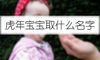 虎年宝宝取什么名字好