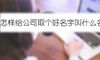 怎样给公司取个好名字叫什么名字