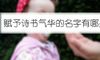 赋予诗书气华的名字有哪些