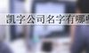 凯字公司名字有哪些