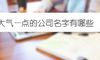 大气—点的公司名字有哪些