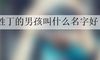 姓丁的男孩叫什么名字好