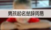 男孩起名楚辞周易