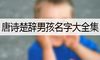 唐诗楚辞男孩名字大全集