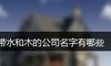 带水和木的公司名字有哪些