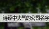 诗经中大气的公司名字