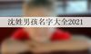 沈姓男孩名字大全2021