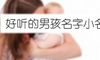 好听的男孩名字小名