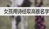 女孩用诗经取高雅名字