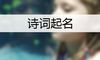 诗词起名