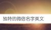 独特的微信名字英文