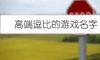 高端逗比的游戏名字