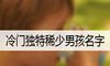 冷门独特稀少男孩名字