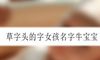 草字头的字女孩名字牛宝宝