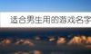 适合男生用的游戏名字