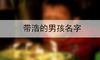 带浩的男孩名字