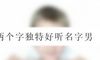两个字独特好听名字男