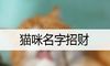 猫咪名字招财
