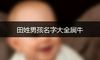 田姓男孩名字大全属牛