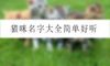 猫咪名字大全简单好听