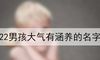 2022男孩大气有涵养的名字